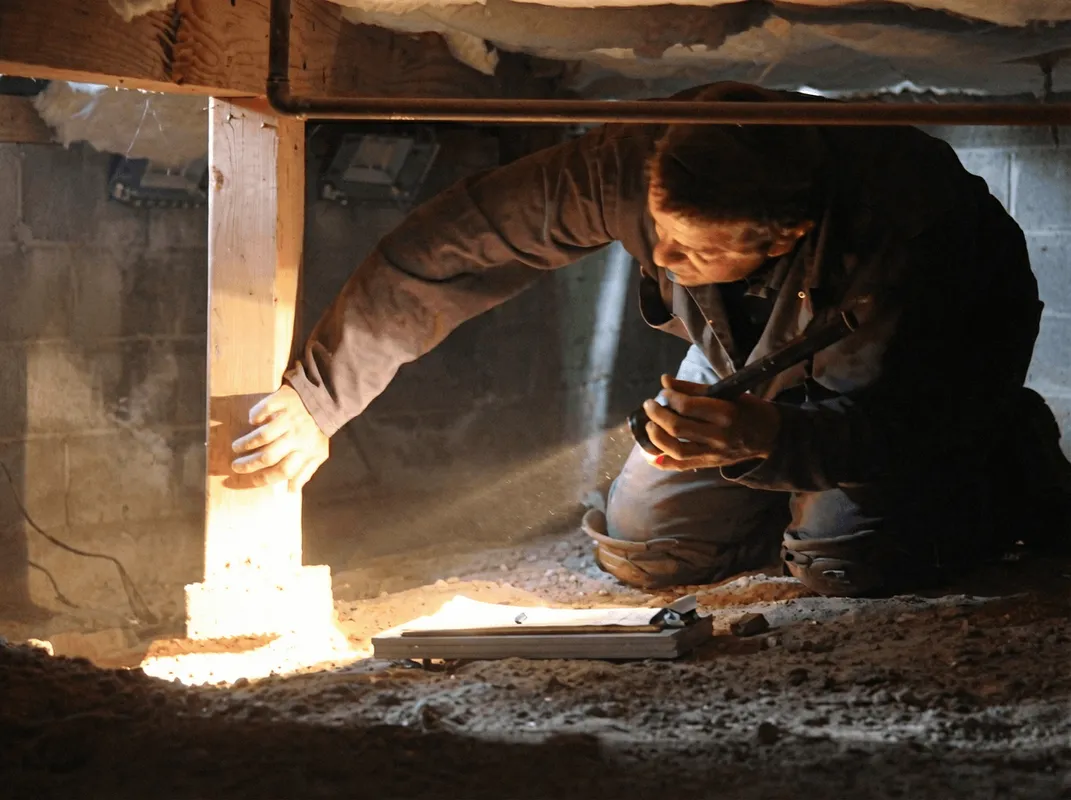 A professional inspecting wooden beams under the floor of a structure in Myrtle Beach, SC